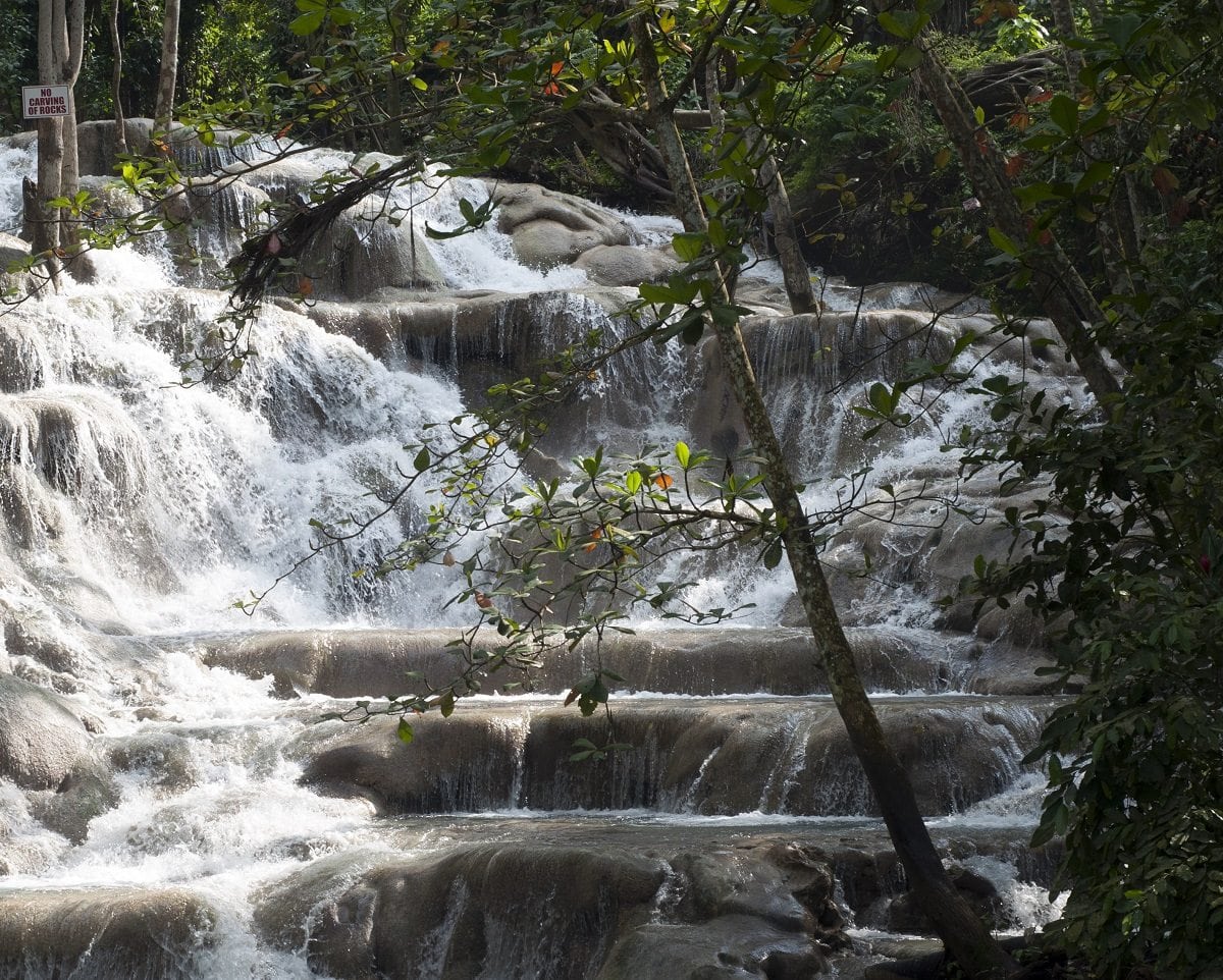 Bobsled Jamaica and Dunn�s River Falls Excursion Review