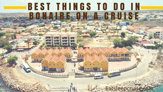 Best Things to Do in Bonaire on a Cruise