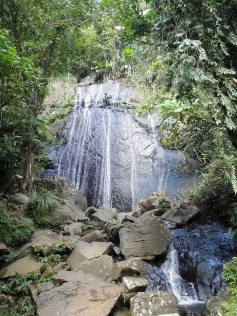 El Yunque Rainforest Tour Nature Walk to Waterfall Review