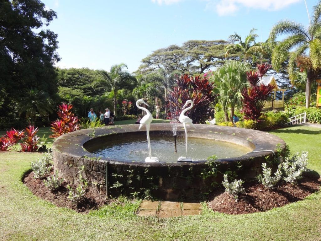 Things to do in St Kitts on a cruise