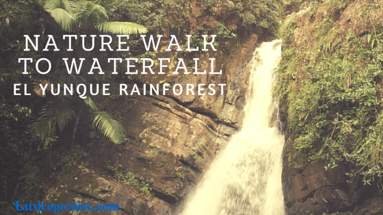 El Yunque Rainforest Tour – Rainforest Nature Walk to Waterfall Review