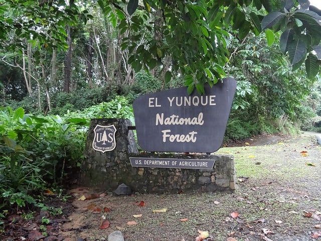 El Yunque Rainforest Tour