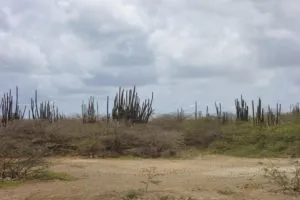 off-road Bonaire tour 