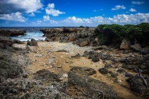 Best Things to do in Curacao on a Cruise