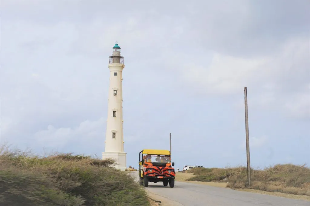 Best Things to Do in Aruba on a Cruise