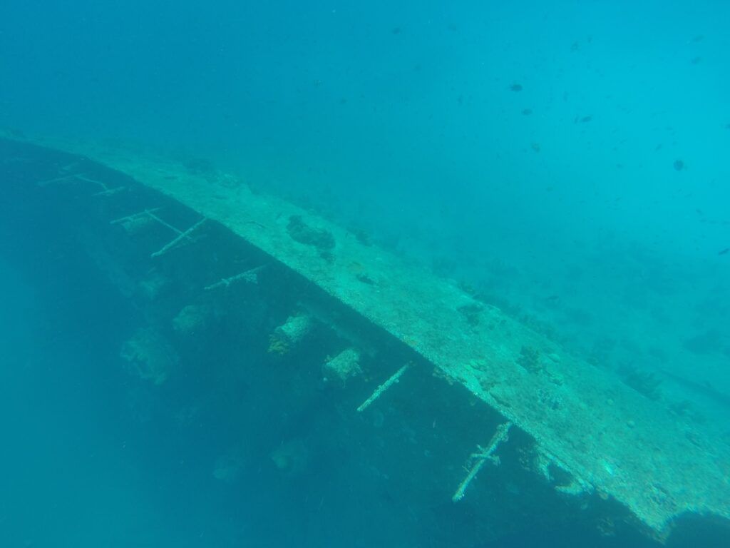 snorkeling over antilla shipwreck aruba