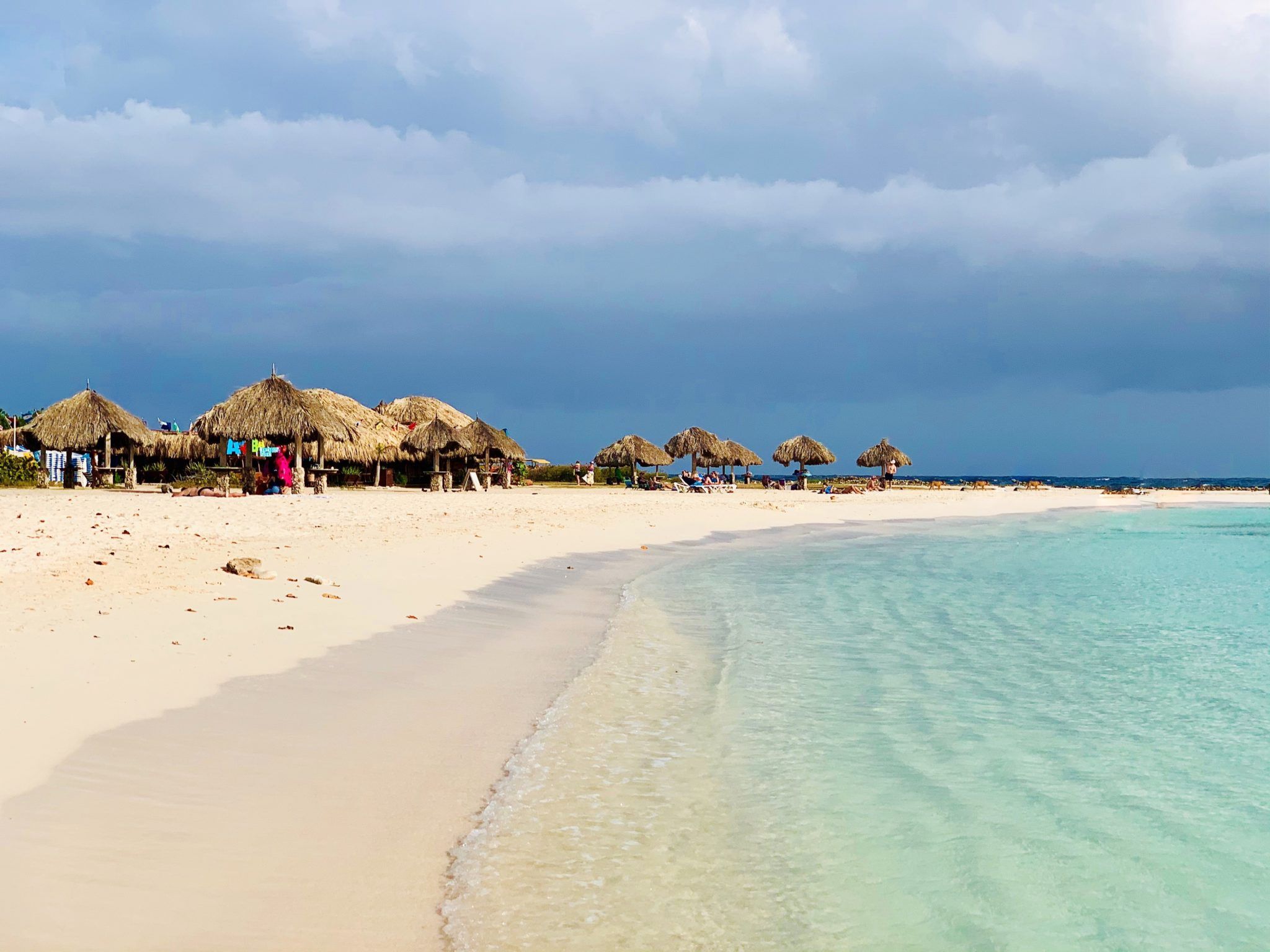 Best Things to do in Aruba on a Cruise for 2020
