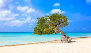 Top Things to Do in Aruba on a Cruise