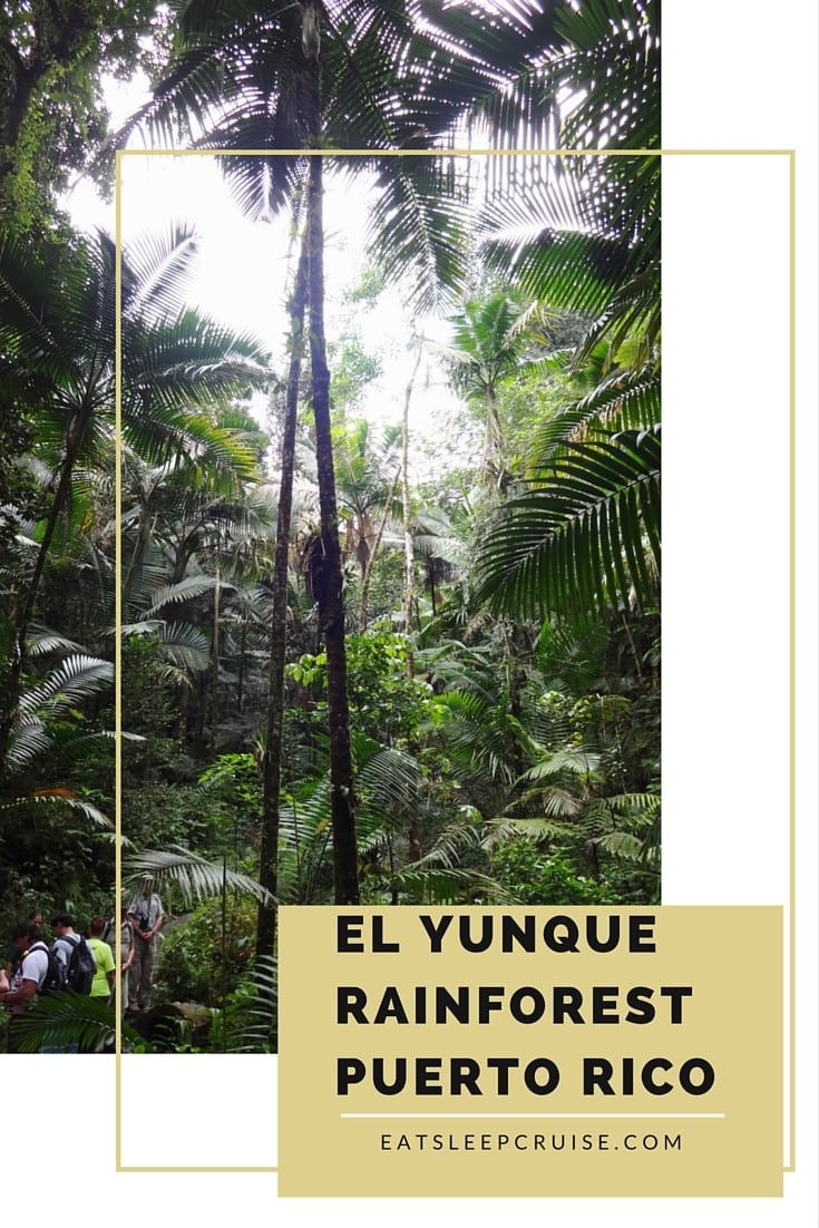 El Yunque Rainforest Pinterest