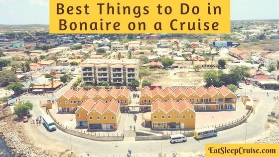 Best Things to Do in Bonaire on Cruise