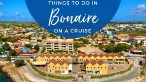 Best Things to Do in Bonaire on a Cruise