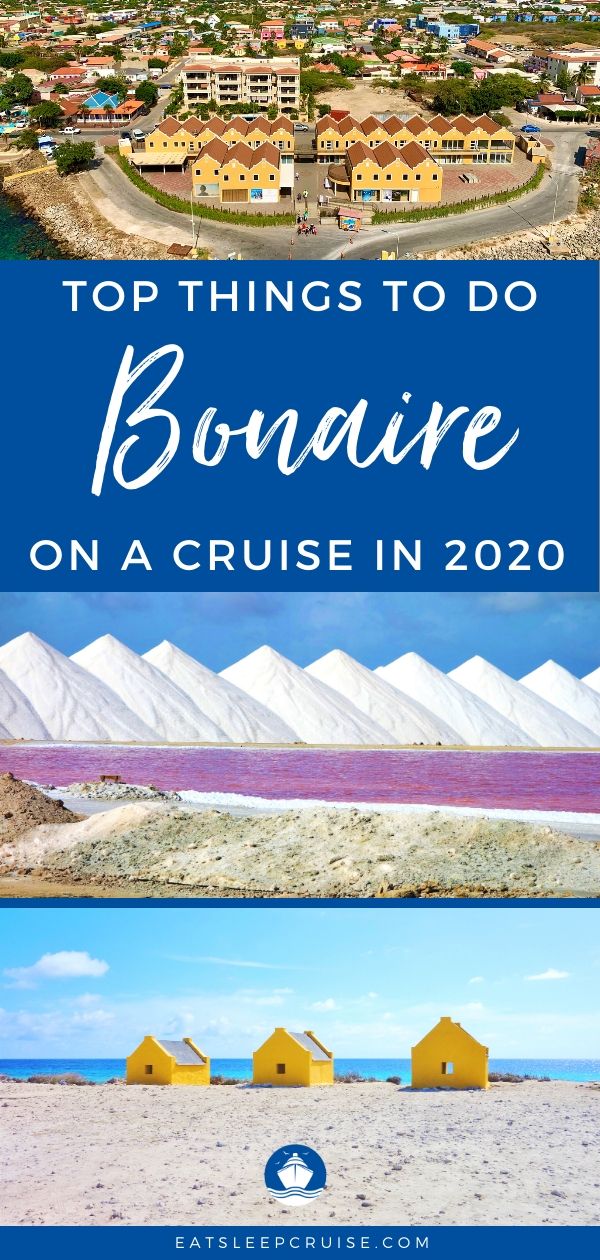 Best Things to Do in Bonaire on a Cruise in 2020