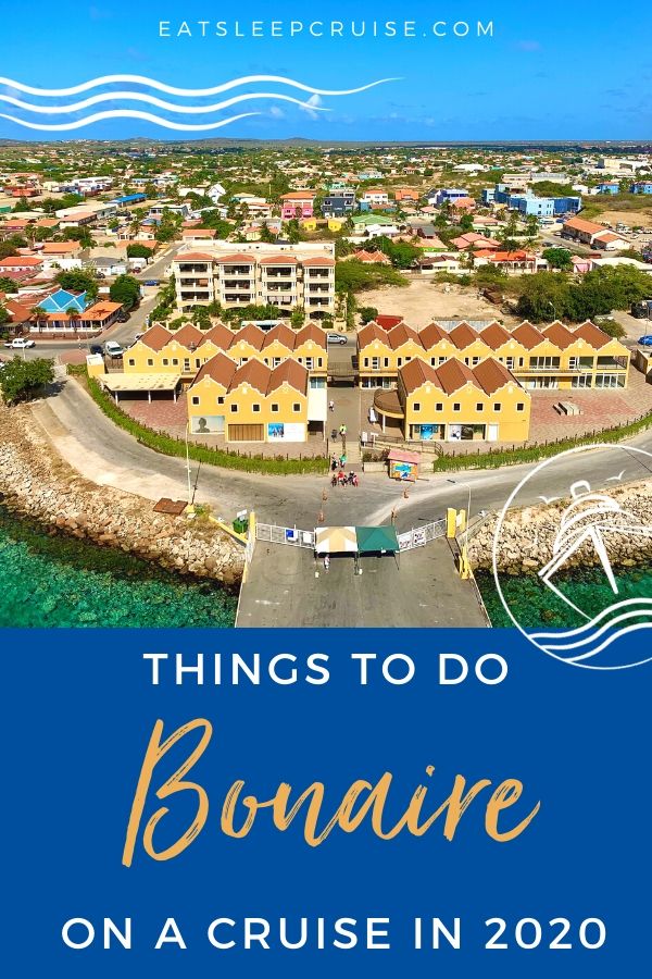 Best Things to Do in Bonaire on a Cruise in 2020