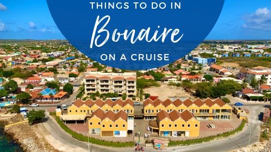 Best Things to Do in Bonaire on a Cruise Updated for 2020