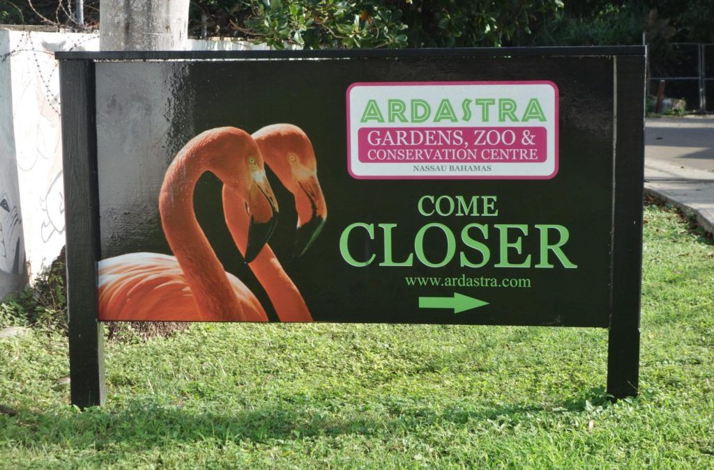 Ardastra Gardens and Zoo