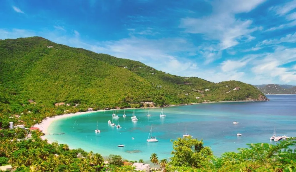 TORTOLA 1