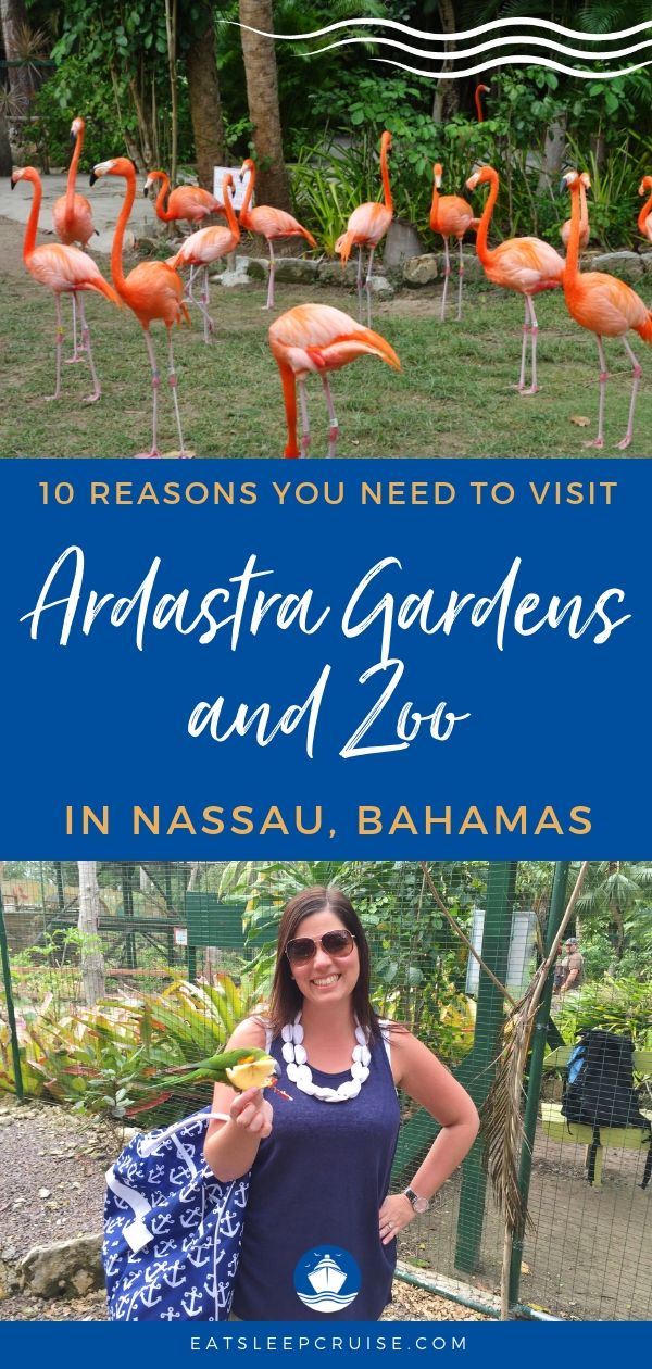 10 Reasons You Need to Visit Ardastra Gardens and Zoo in Nassau, Bahamas