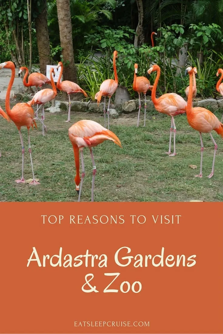 Ardastra Gardens and Zoo