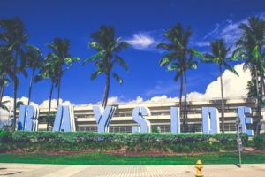 Best Things to Do in Miami on a Cruise