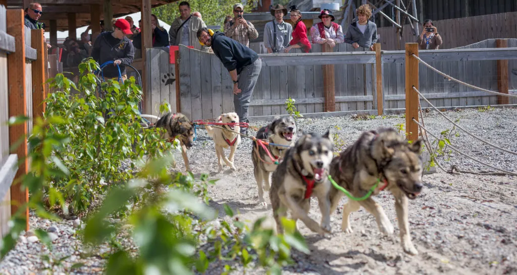 Top Things to Do in Skagway Alaska