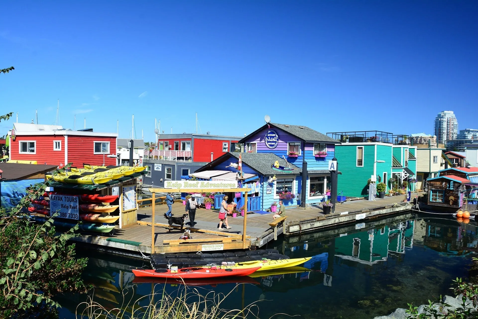 Best Things to Do in Victoria, British Columbia on a Cruise