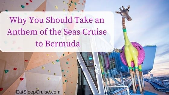 Why You Should Take an Anthem of the Seas Bermuda Cruise