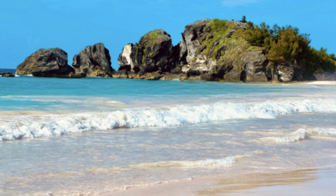 Bermuda beach featured