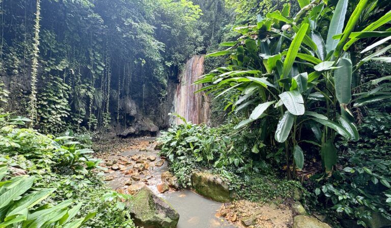 st. lucia jungle featured