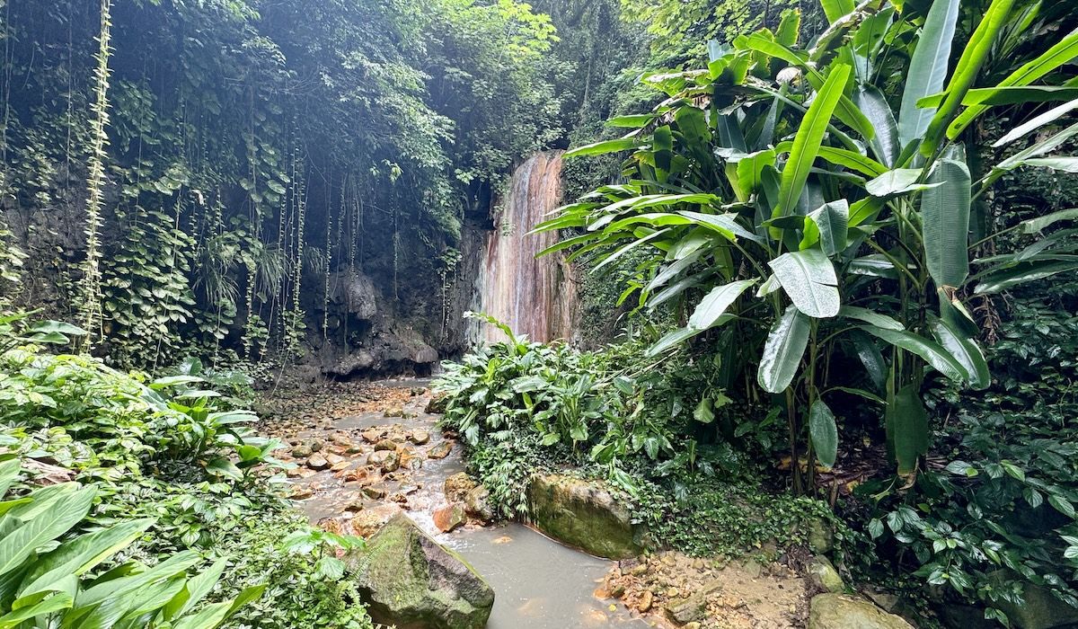 st. lucia jungle featured