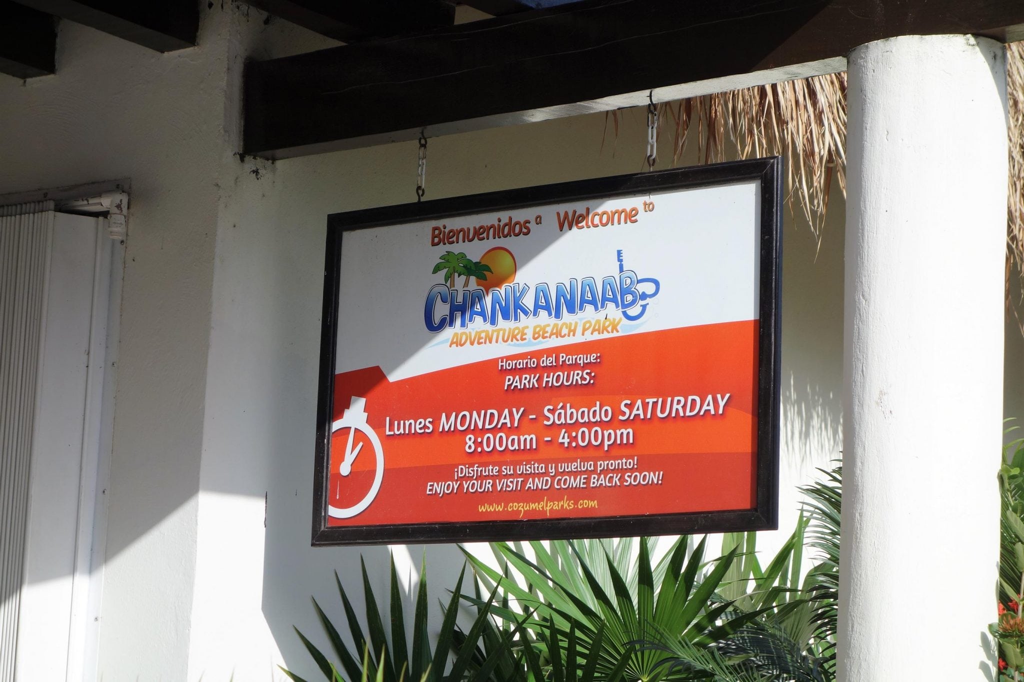 Shore Excursion Review: Chankanaab Adventure Beach Park