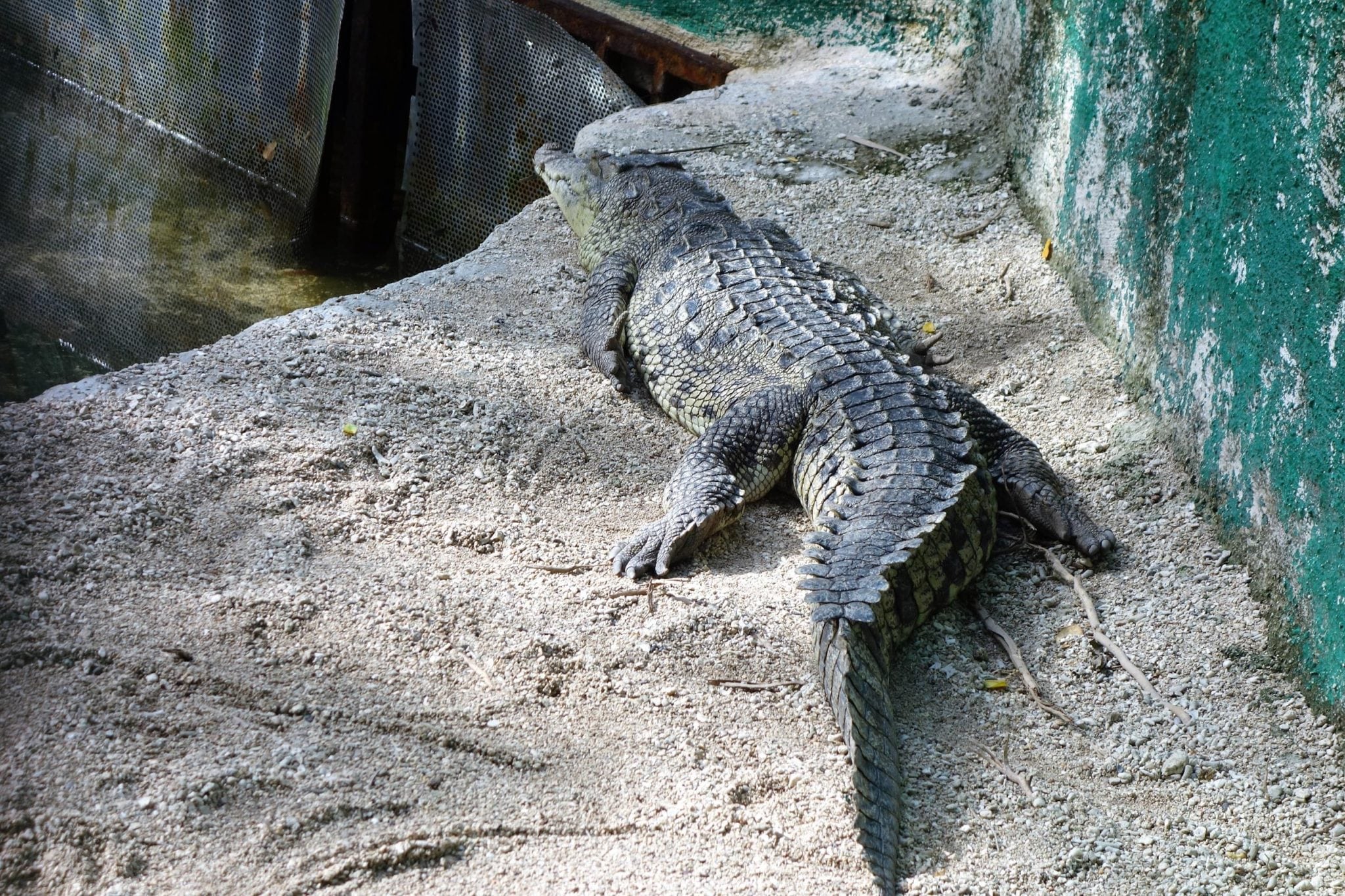 Shore Excursion Review: Chankanaab Adventure Beach Park