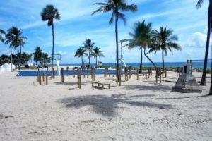 Best Things to Do in Ft. Lauderdale on a Cruise