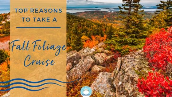 Top Reasons to Take a Fall Foliage Cruise in 2019