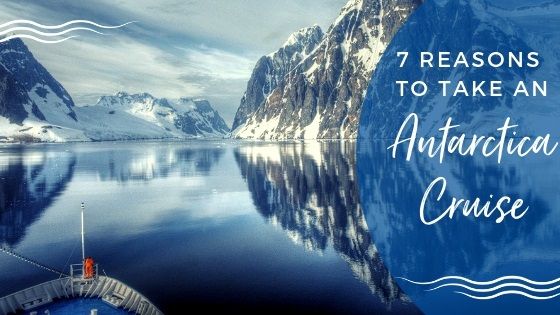 7 Reasons to take an Antarctica Cruise
