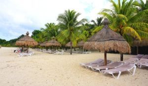 Top Things to Do Cozumel