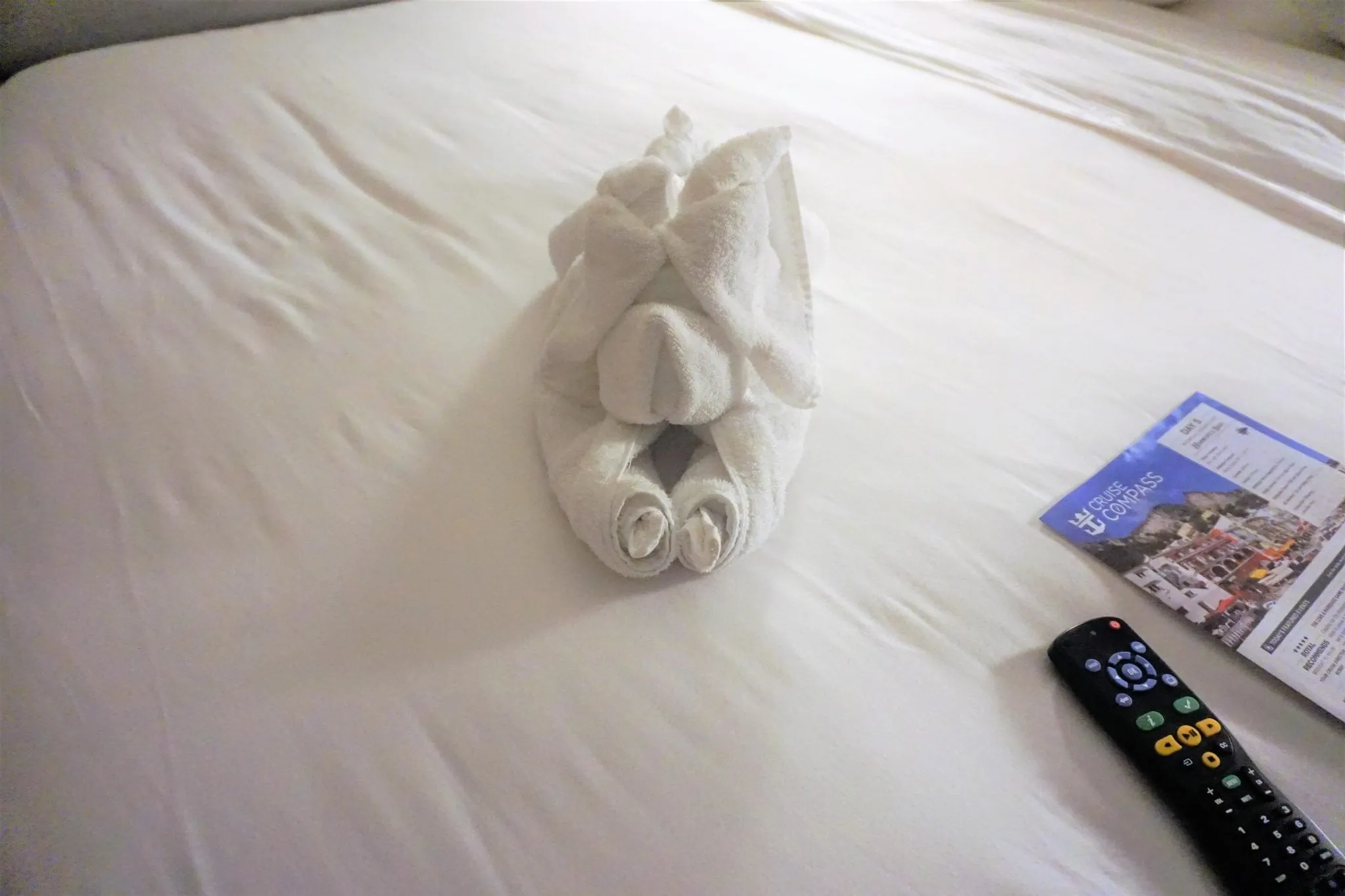Harmony of the Seas Eastern Caribbean Cruise Review