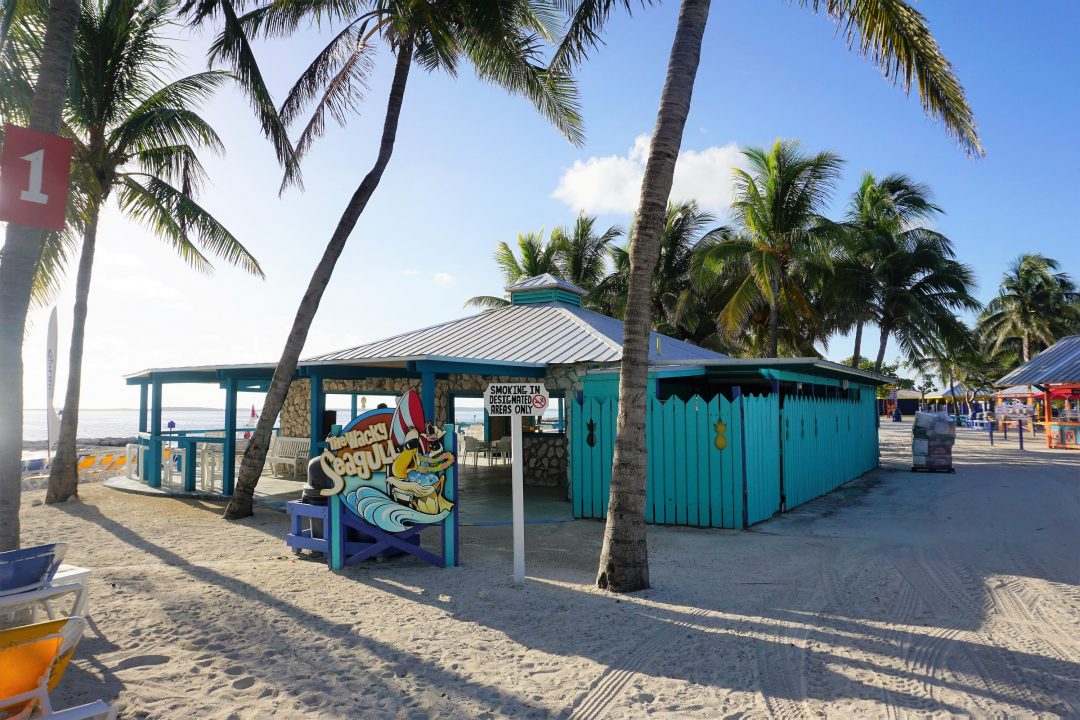 Everything You Need to Know about CocoCay, Bahamas