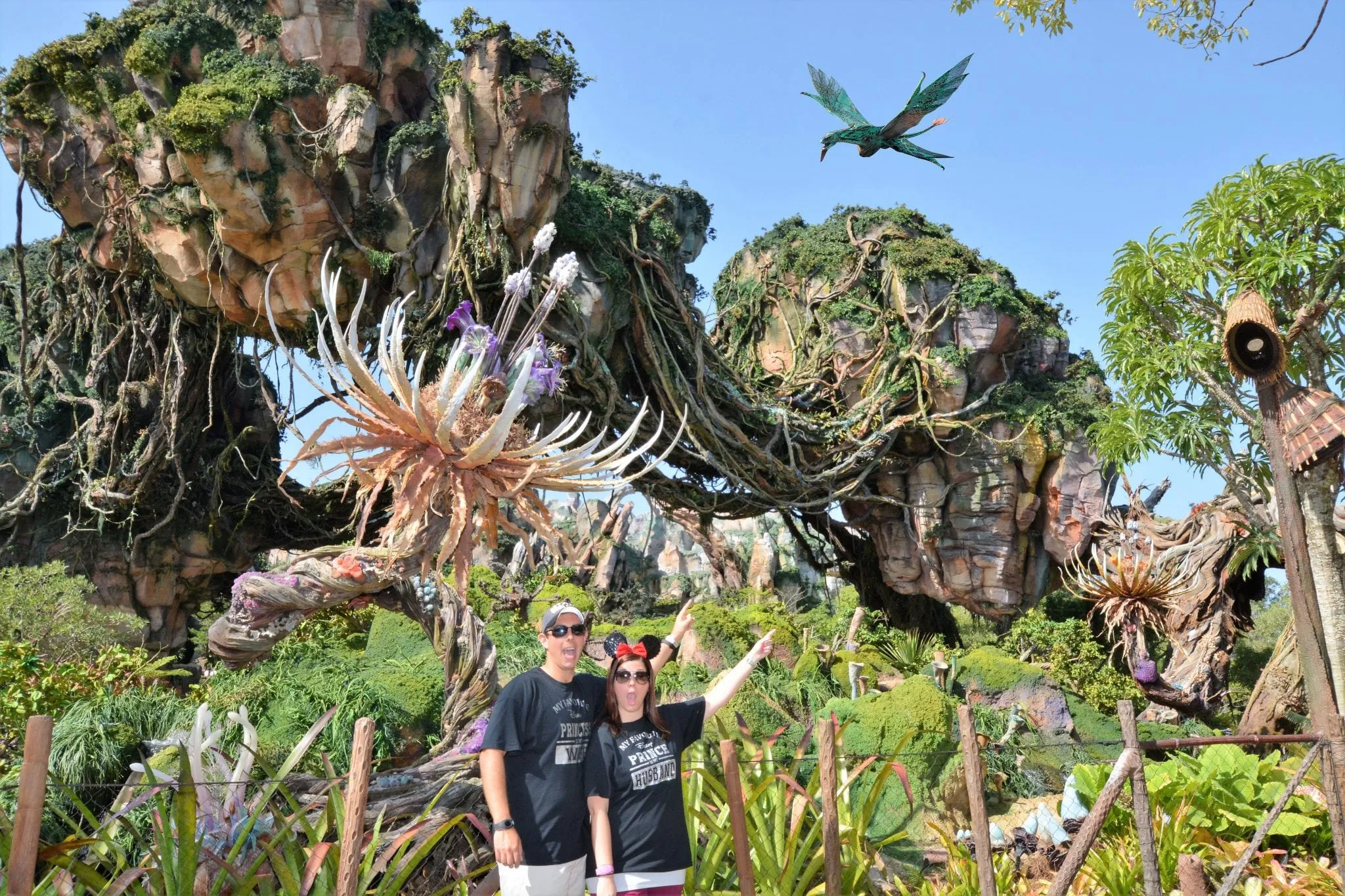 Doing Disney as a Shore Excursion