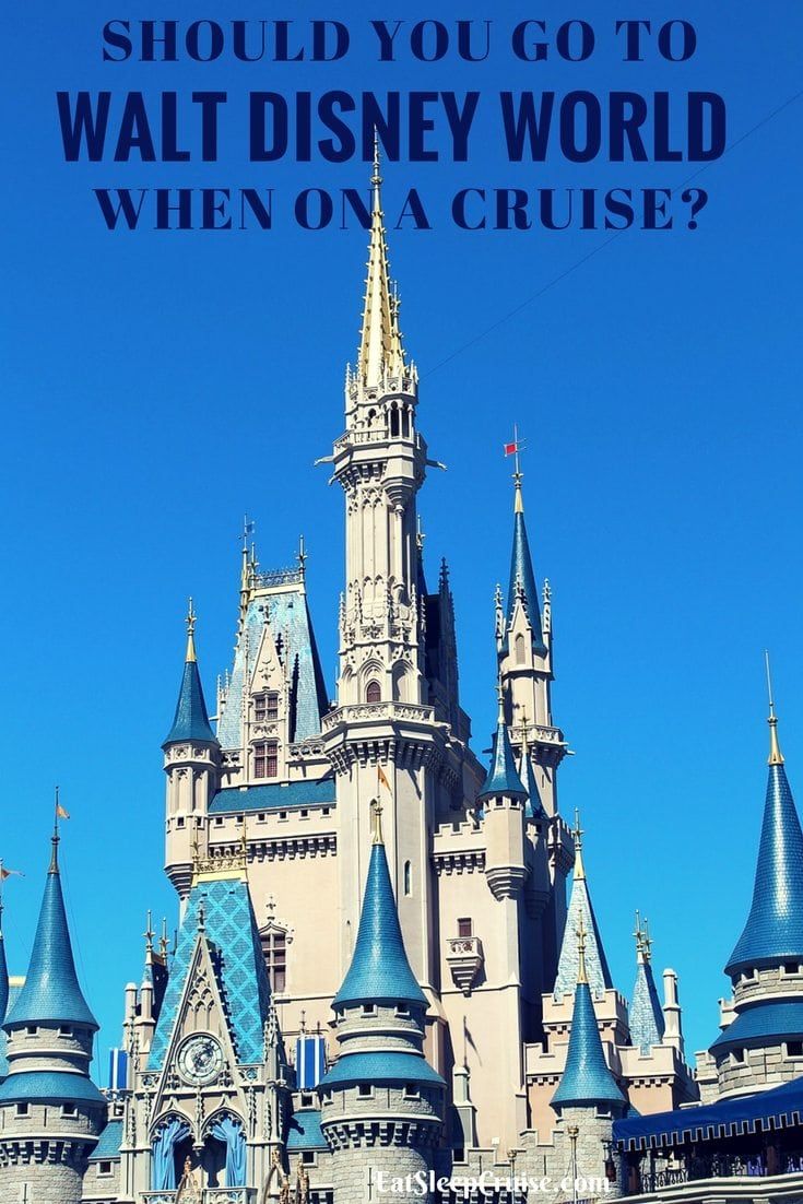 Should You Go to Disney World as a Shore Excursion?