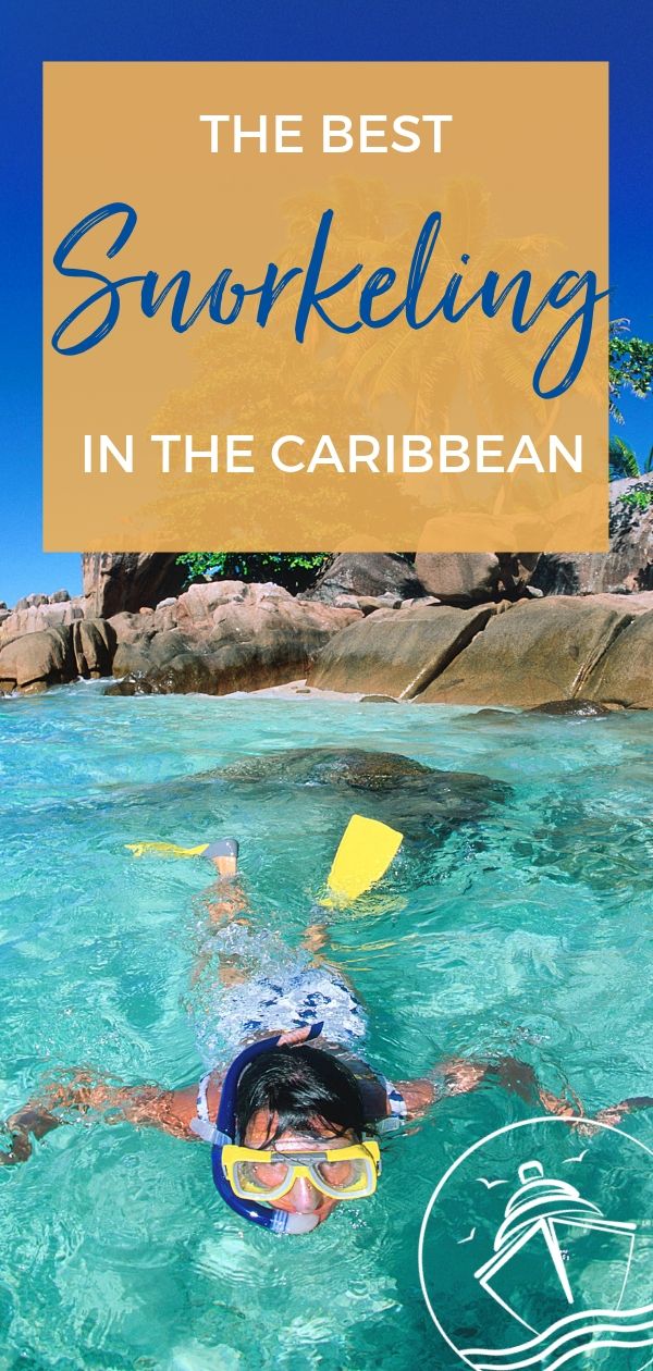 The Best Snorkeling in the Caribbean 