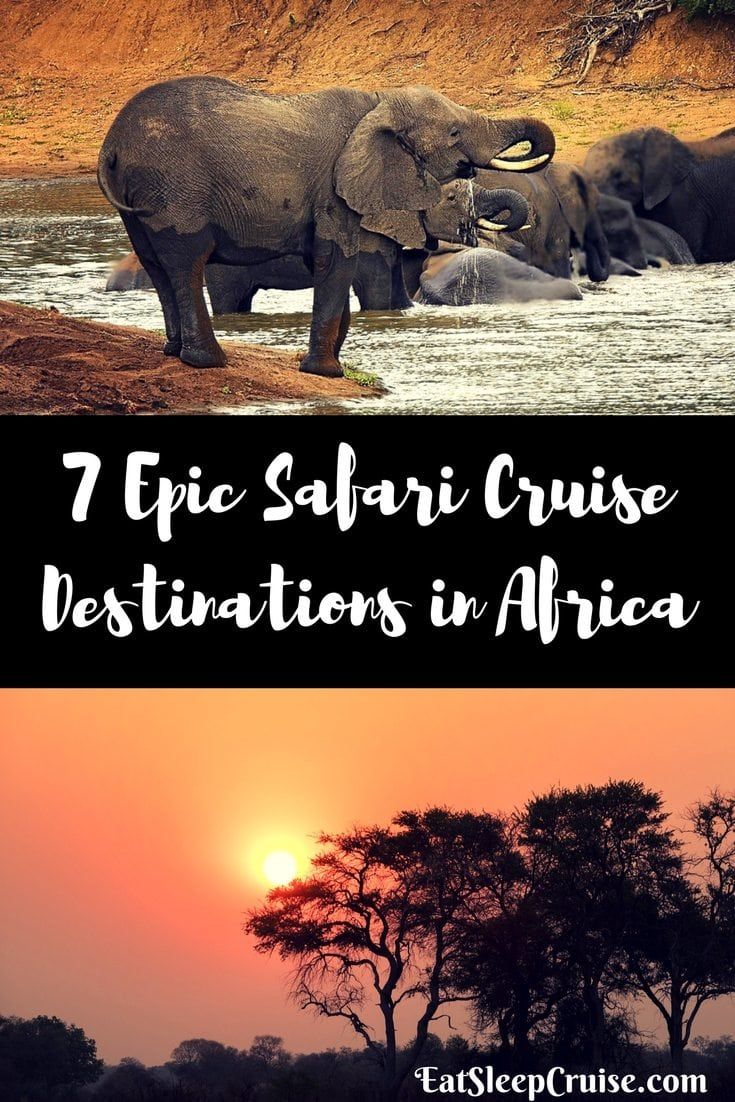 7 Epic Safari Cruise Destinations in Africa
