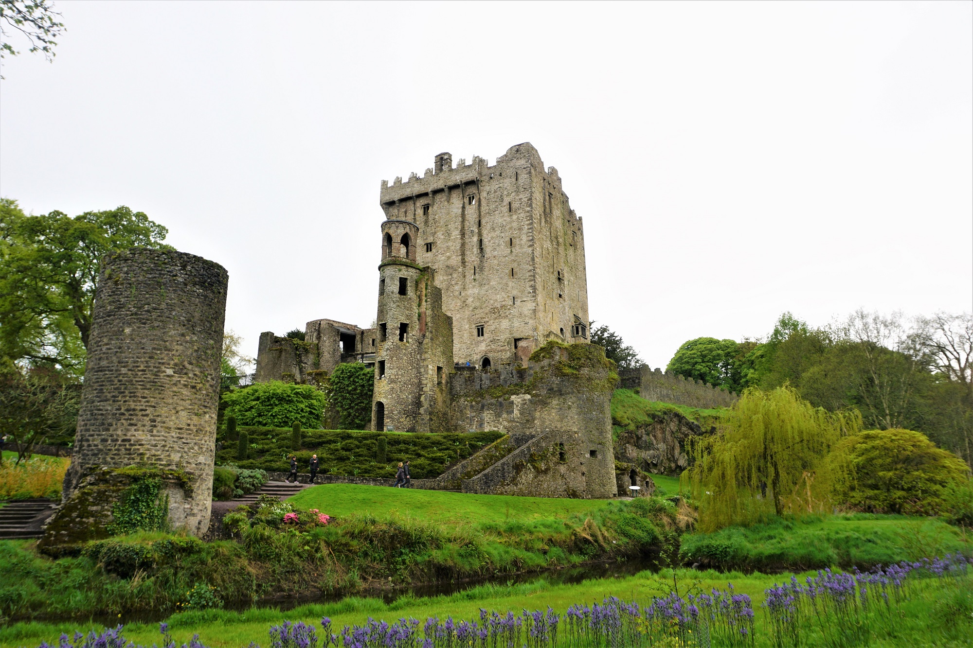 blarney castle day trip