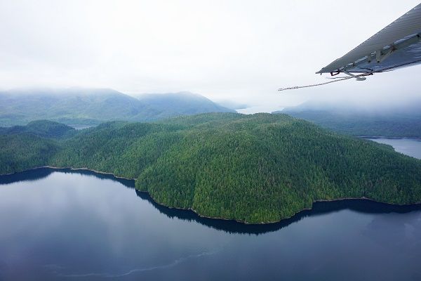 Misty Fjords Flightseeing Tour Review