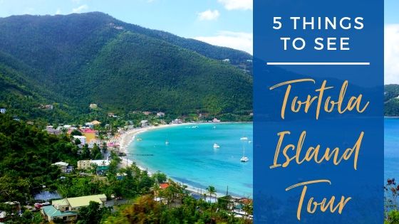 Top Things to See on a Tortola Island Tour