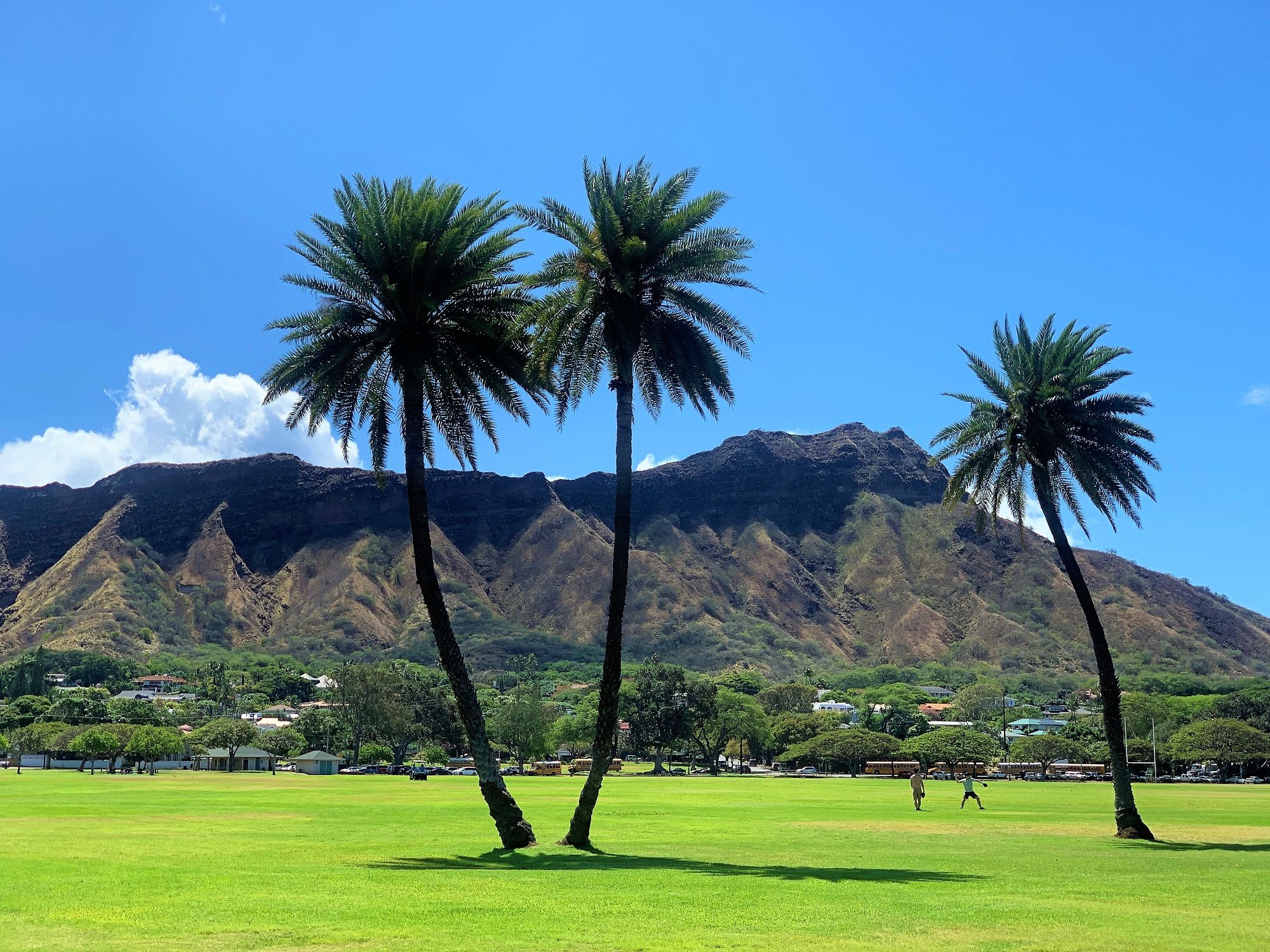 Grand Circle Tour of Oahu