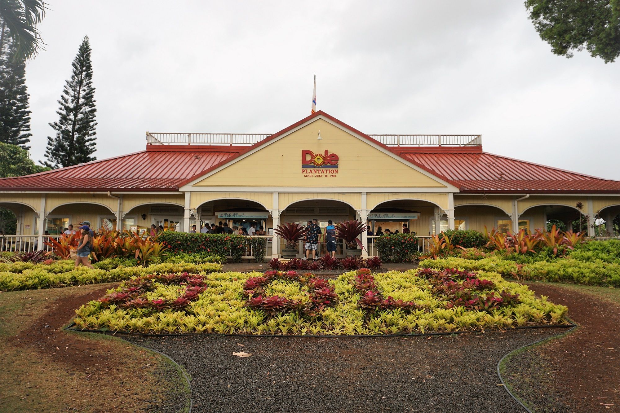 Dole Plantation 