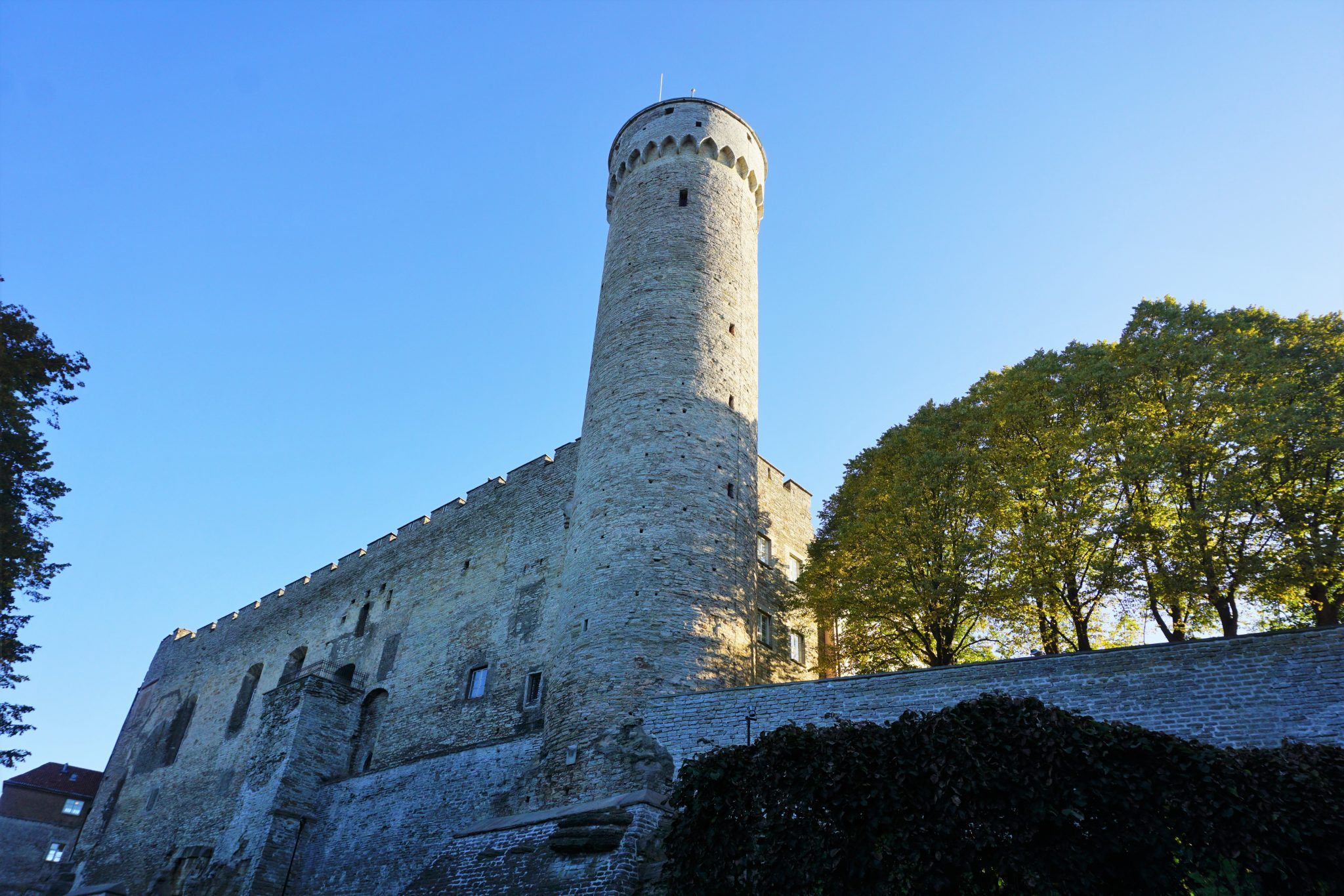 Top Things to Do in Tallinn, Estonia on a Cruise