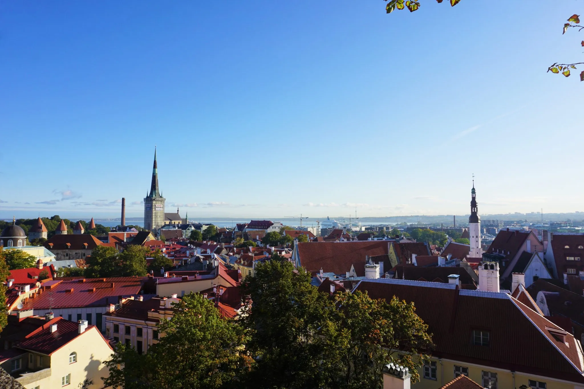 Top Things to Do in Tallinn, Estonia on a Cruise