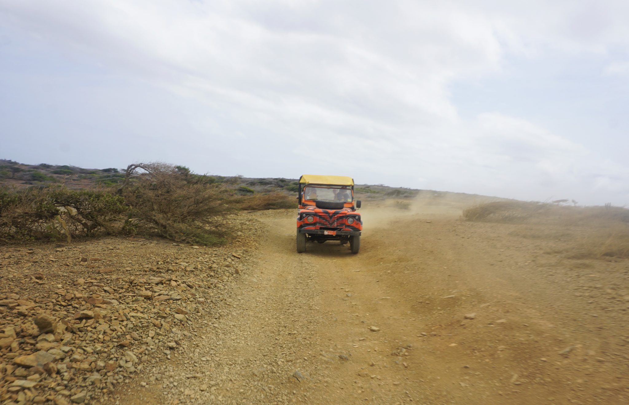 ABC Tours Aruba Island Ultimate Safari Review