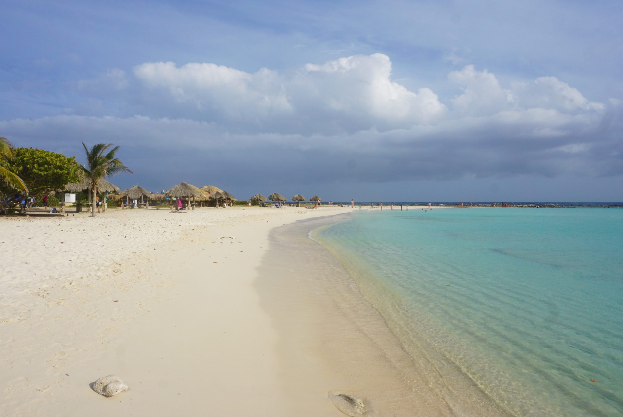 ABC Tours Aruba Island Ultimate Safari Review
